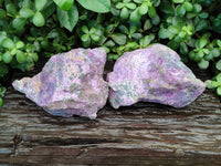 Natural Stichtite Cobbed Specimens x 2 From Barberton, South Africa