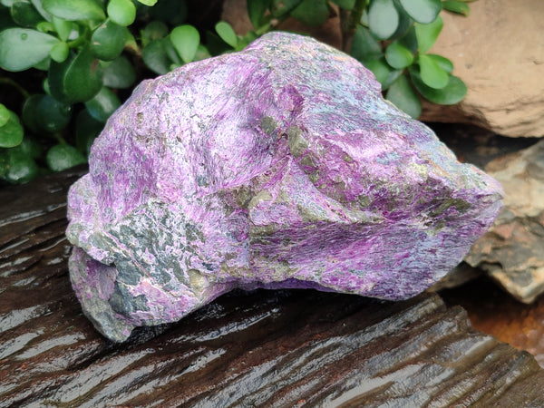 Natural Stichtite Cobbed Specimens x 2 From Barberton, South Africa