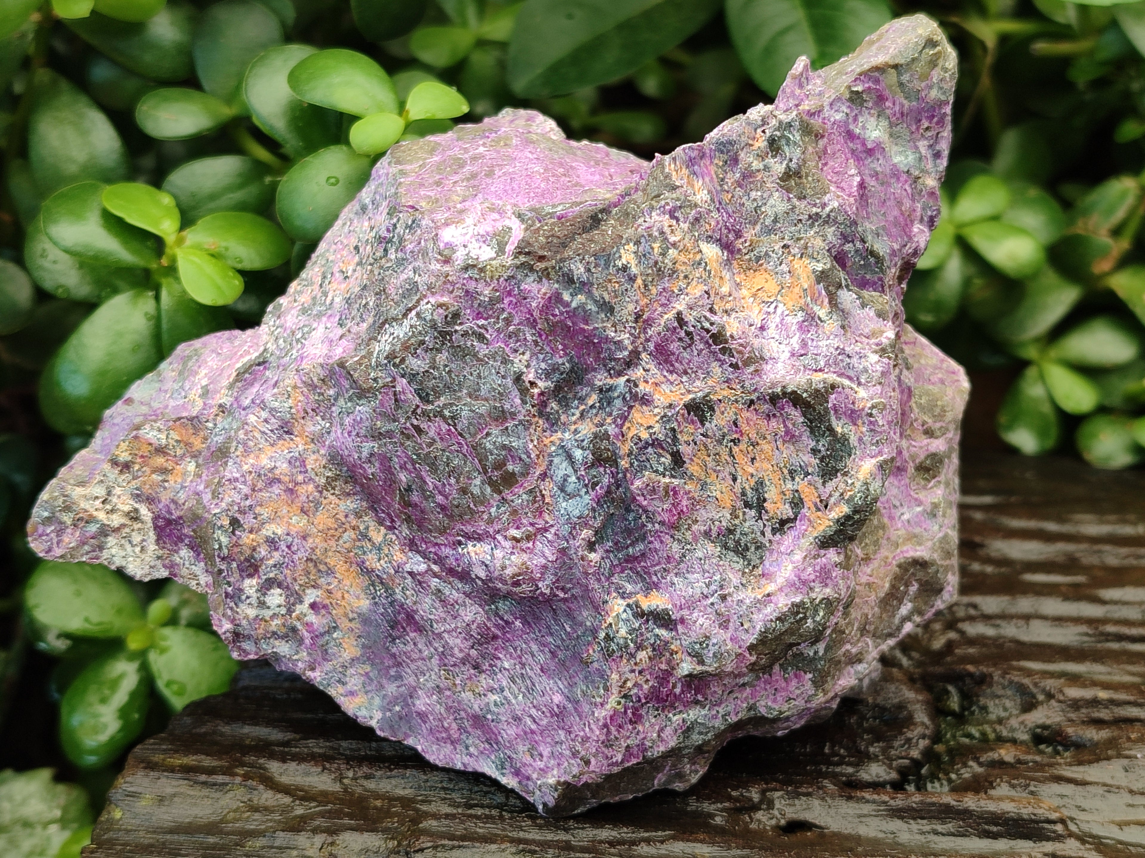 Natural Stichtite Cobbed Specimens x 2 From Barberton, South Africa - Toprock Gemstones and Minerals 