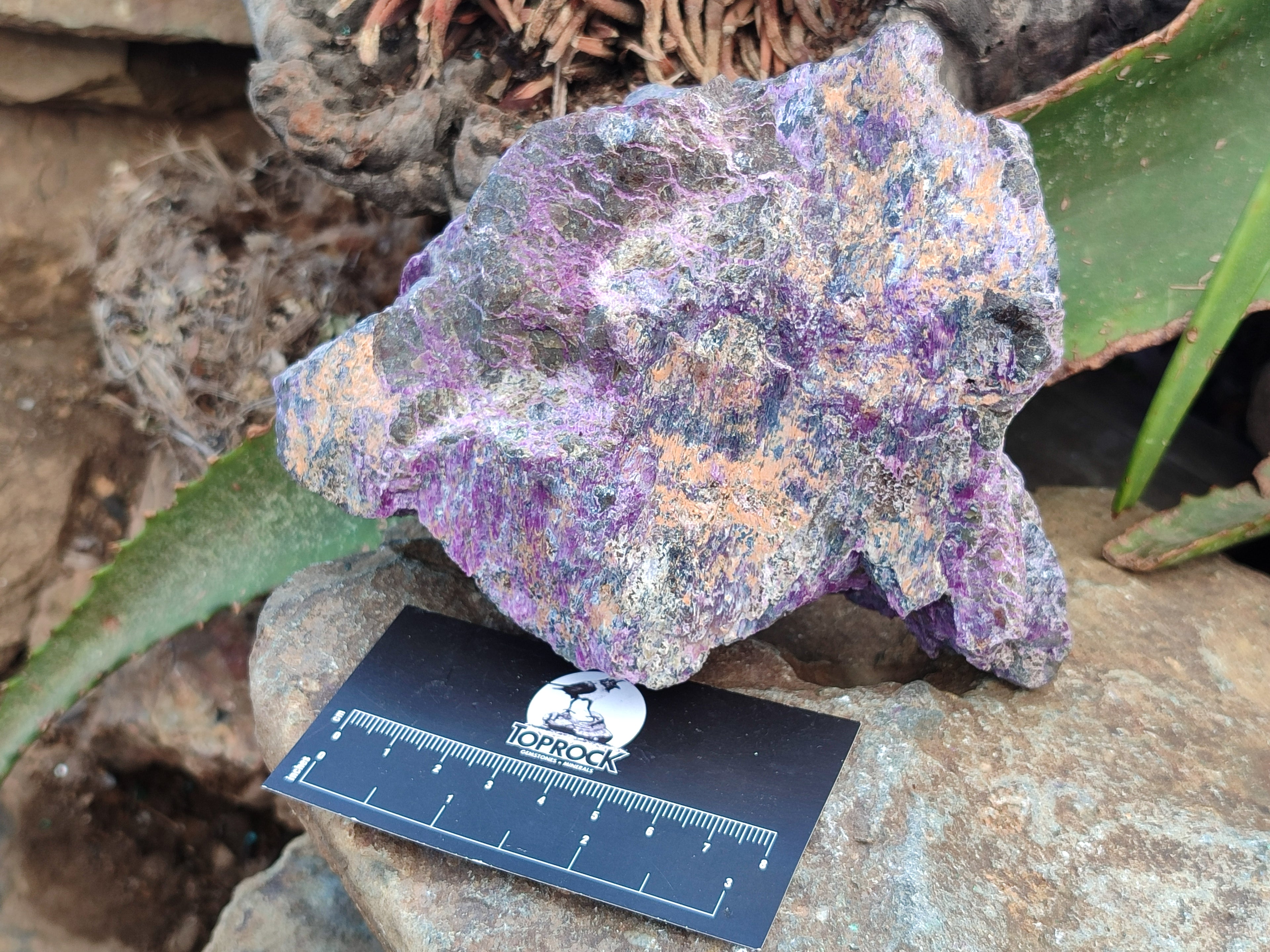Natural Stichtite Cobbed Specimens x 2 From Barberton, South Africa - Toprock Gemstones and Minerals 