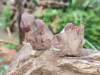 Natural Red Hematoid Quartz Crystals x 58 From Karoi, Zimbabwe - Toprock Gemstones and Minerals 