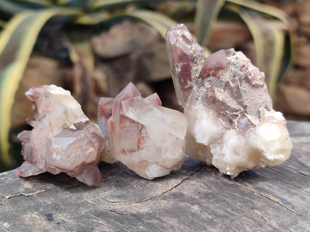 Natural Red Hematoid Quartz Crystals x 58 From Karoi, Zimbabwe - Toprock Gemstones and Minerals 