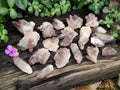 Natural Red Hematoid Quartz Crystals x 58 From Karoi, Zimbabwe - Toprock Gemstones and Minerals 