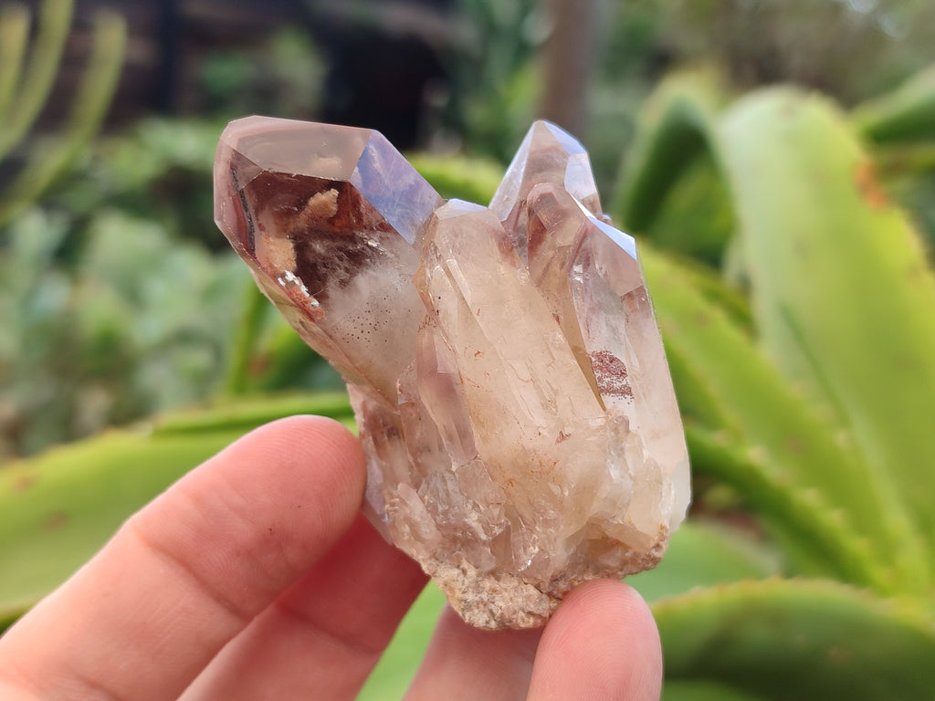 Natural Red Hematoid Quartz Crystals x 58 From Karoi, Zimbabwe - Toprock Gemstones and Minerals 