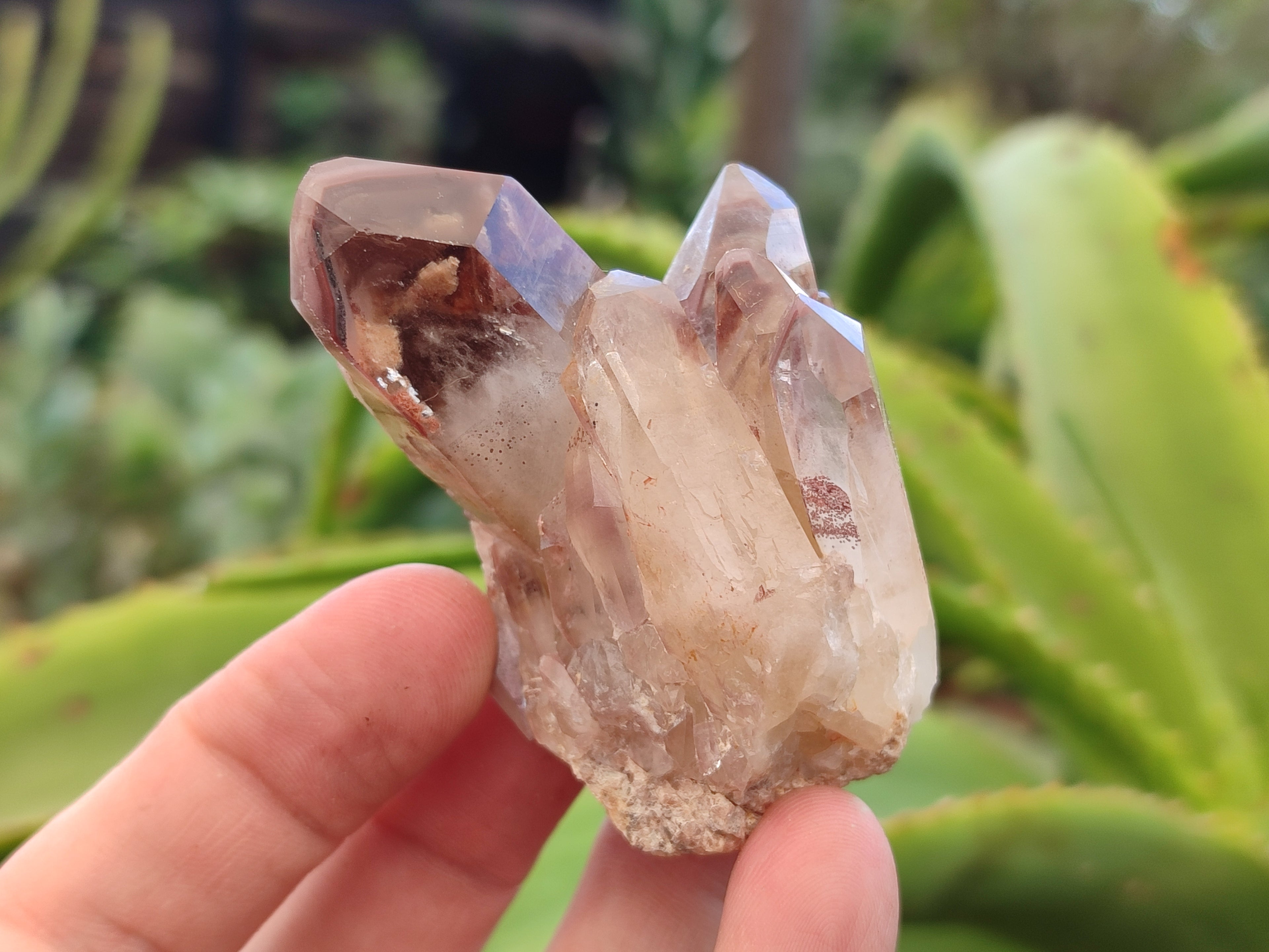 Natural Red Hematoid Quartz Crystals x 58 From Karoi, Zimbabwe - Toprock Gemstones and Minerals 