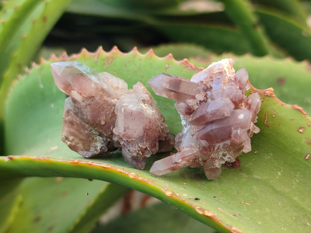 Natural Red Hematoid Quartz Crystals x 58 From Karoi, Zimbabwe - Toprock Gemstones and Minerals 