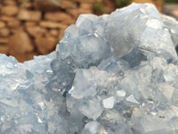 Natural Extra Large A Grade Celestite Geode Specimen x 1 From Sakoany, Madagascar - Toprock Gemstones and Minerals 