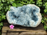 Natural Extra Large A Grade Celestite Geode Specimen x 1 From Sakoany, Madagascar - Toprock Gemstones and Minerals 