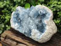 Natural Extra Large A Grade Celestite Geode Specimen x 1 From Sakoany, Madagascar - Toprock Gemstones and Minerals 