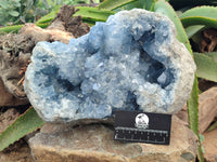 Natural Extra Large A Grade Celestite Geode Specimen x 1 From Sakoany, Madagascar - Toprock Gemstones and Minerals 