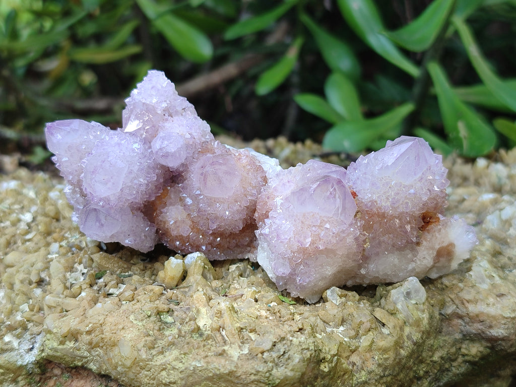 Natural Lilac Fairy Spirit Quartz Clusters x 12 From Boekenhouthoek, South Africa - Toprock Gemstones and Minerals 