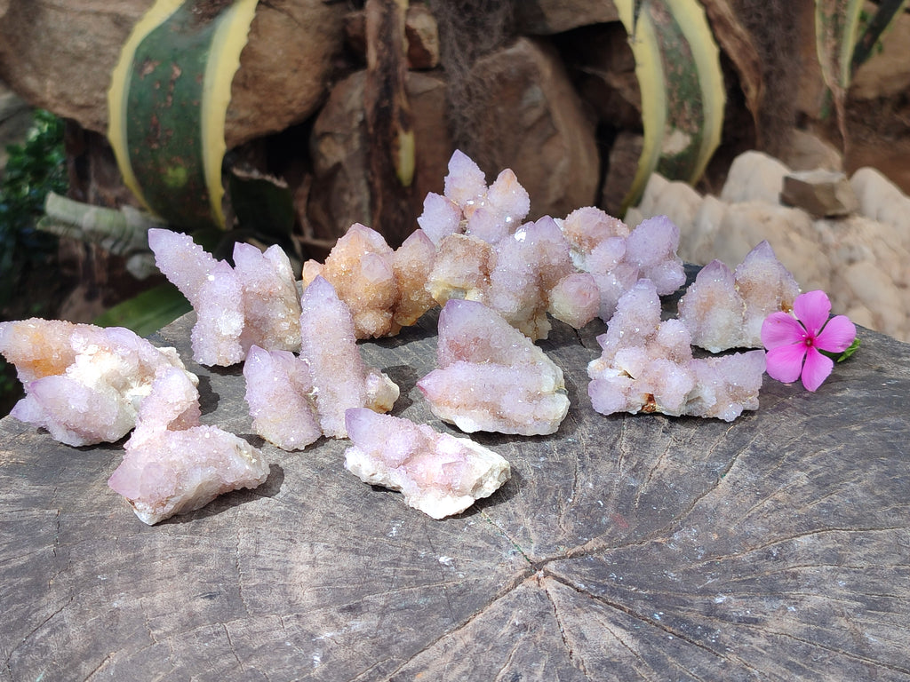 Natural Lilac Fairy Spirit Quartz Clusters x 12 From Boekenhouthoek, South Africa - Toprock Gemstones and Minerals 