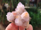 Natural Lilac Fairy Spirit Quartz Clusters x 12 From Boekenhouthoek, South Africa - Toprock Gemstones and Minerals 
