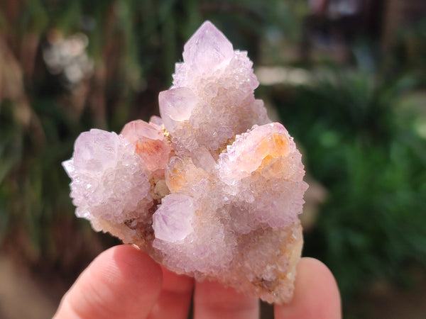 Natural Lilac Fairy Spirit Quartz Clusters x 12 From Boekenhouthoek, South Africa - Toprock Gemstones and Minerals 