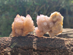 Natural Lilac Fairy Spirit Quartz Clusters x 12 From Boekenhouthoek, South Africa - Toprock Gemstones and Minerals 