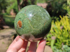 Polished Chrysoprase Spheres x 3 From Betroka, Madagascar - Toprock Gemstones and Minerals 