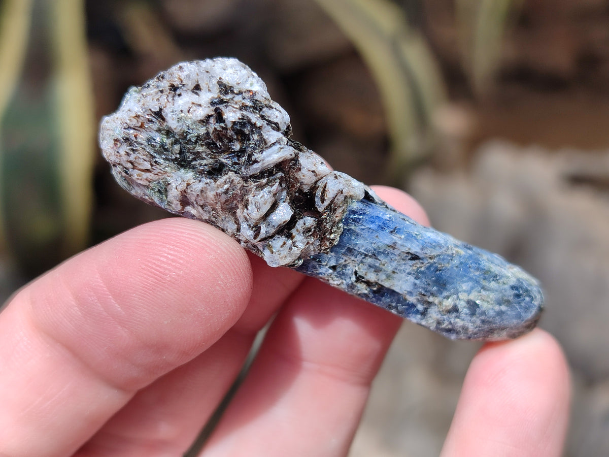Natural Kyanite Crystals x 1.77 Kg Lot From Karoi, Zimbabwe - Toprock Gemstones and Minerals 
