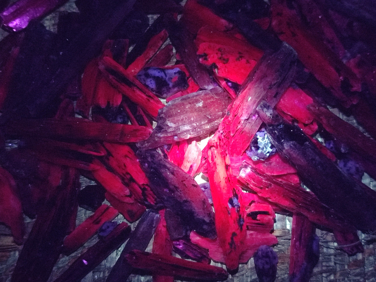 Natural Kyanite Crystals x 1.77 Kg Lot From Karoi, Zimbabwe - Toprock Gemstones and Minerals 