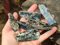 Natural Kyanite Crystals x 1.77 Kg Lot From Karoi, Zimbabwe - Toprock Gemstones and Minerals 