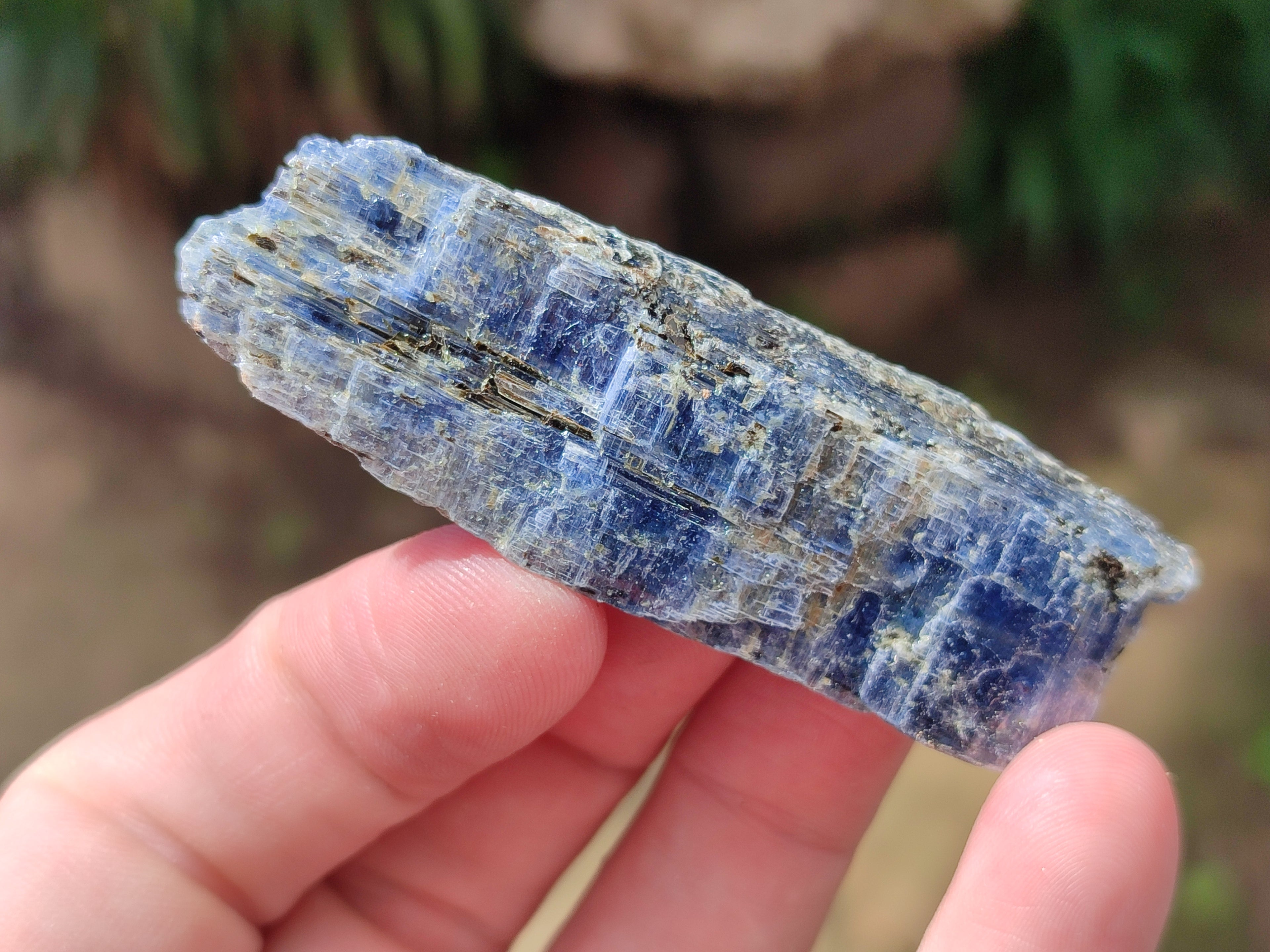 Natural Kyanite Crystals x 1.77 Kg Lot From Karoi, Zimbabwe - Toprock Gemstones and Minerals 