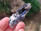 Natural Kyanite Crystals x 1.77 Kg Lot From Karoi, Zimbabwe - Toprock Gemstones and Minerals 