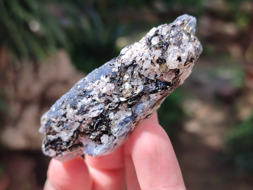 Natural Kyanite Crystals x 1.77 Kg Lot From Karoi, Zimbabwe - Toprock Gemstones and Minerals 