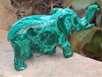 Hand Made Flower Banded Malachite Elephant Carving x 1 From Congo