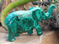 Hand Made Flower Banded Malachite Elephant Carving x 1 From Congo