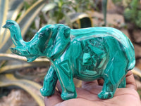 Hand Made Flower Banded Malachite Elephant Carving x 1 From Congo