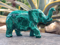 Hand Made Flower Banded Malachite Elephant Carving x 1 From Congo