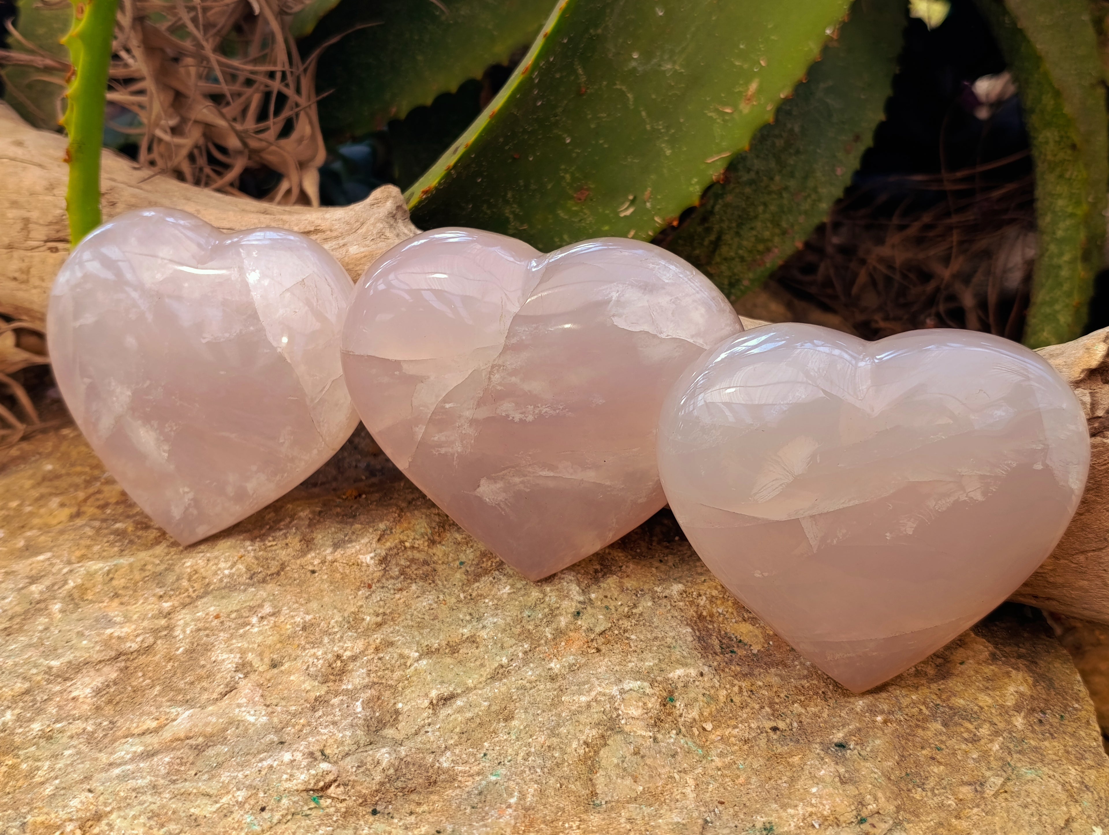 Polished Pink Pearl Girasol Quartz Hearts x 3 From Ambatondrazaka, Madagascar - Toprock Gemstones and Minerals 
