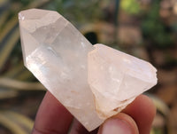Natural Quartz Crystals x 35 from Mpika, Zambia - Toprock Gemstones and Minerals 