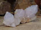 Natural Spirit Quartz Clusters x 12 From Boekenhouthoek, South Africa - Toprock Gemstones and Minerals 