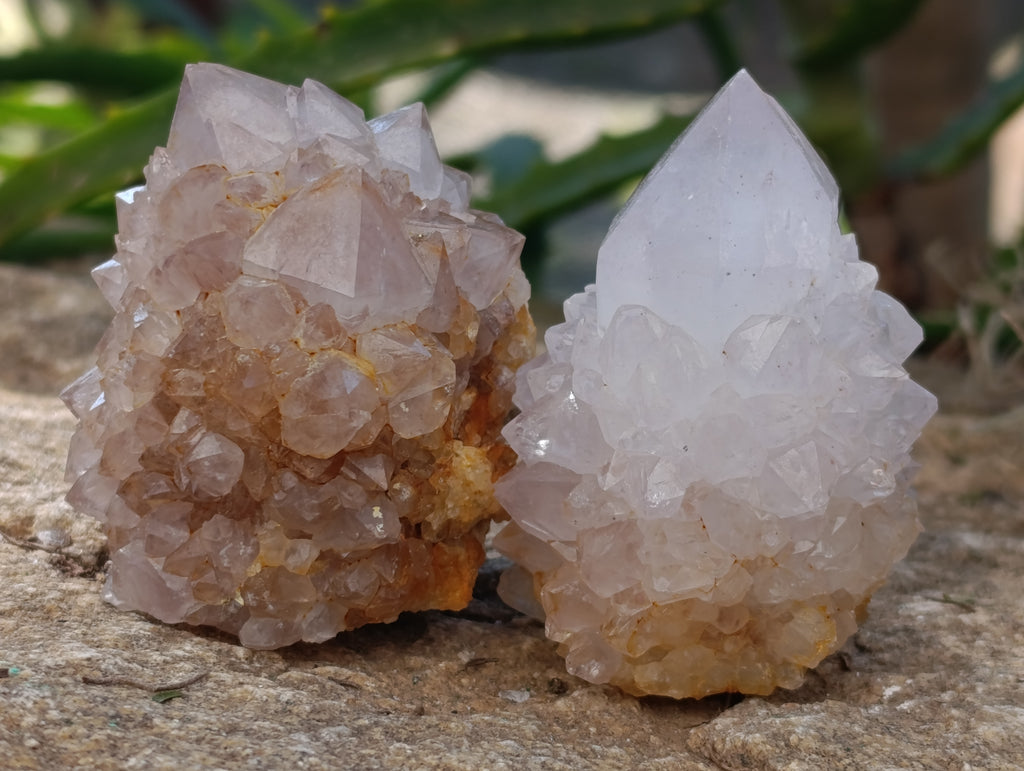 Natural Spirit Quartz Clusters x 12 From Boekenhouthoek, South Africa - Toprock Gemstones and Minerals 