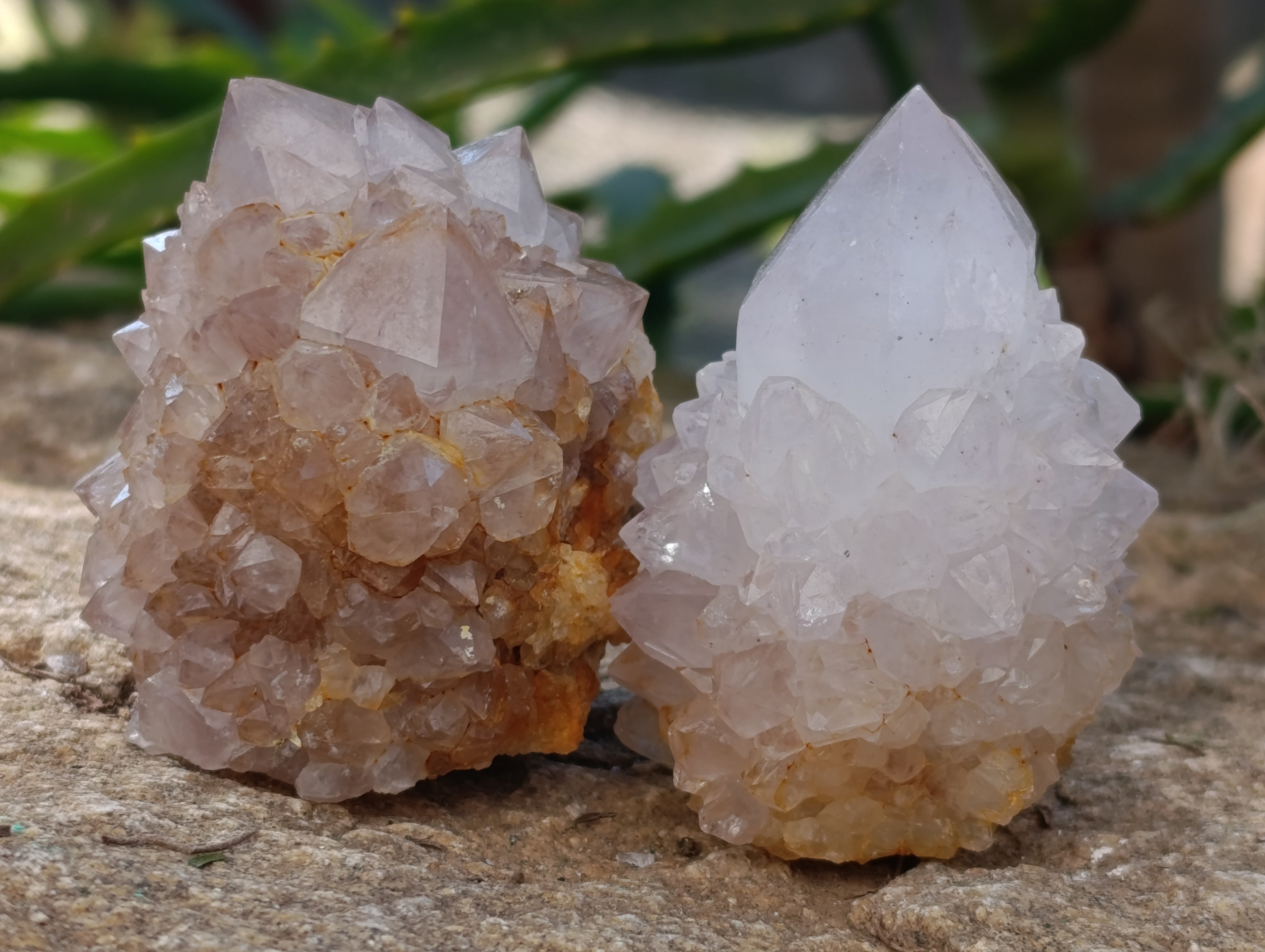 Natural Spirit Quartz Clusters x 12 From Boekenhouthoek, South Africa - Toprock Gemstones and Minerals 