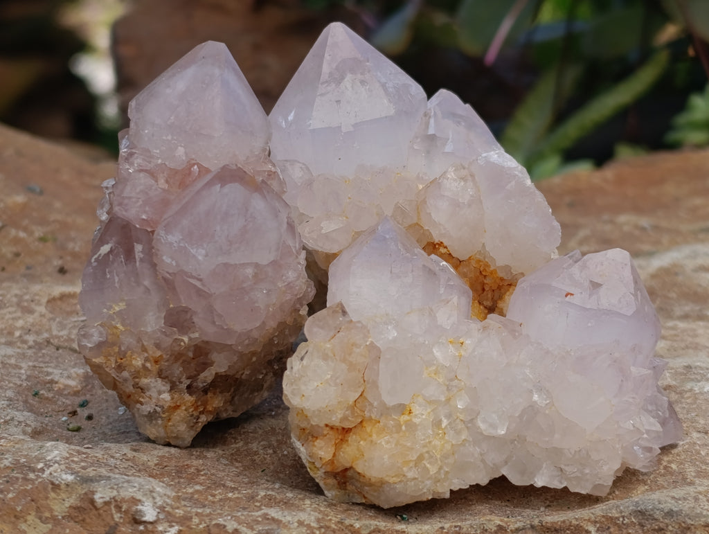 Natural Spirit Quartz Clusters x 12 From Boekenhouthoek, South Africa - Toprock Gemstones and Minerals 