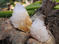 Natural Spirit Quartz Clusters x 12 From Boekenhouthoek, South Africa - Toprock Gemstones and Minerals 