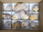 Natural Spirit Quartz Clusters x 12 From Boekenhouthoek, South Africa - Toprock Gemstones and Minerals 