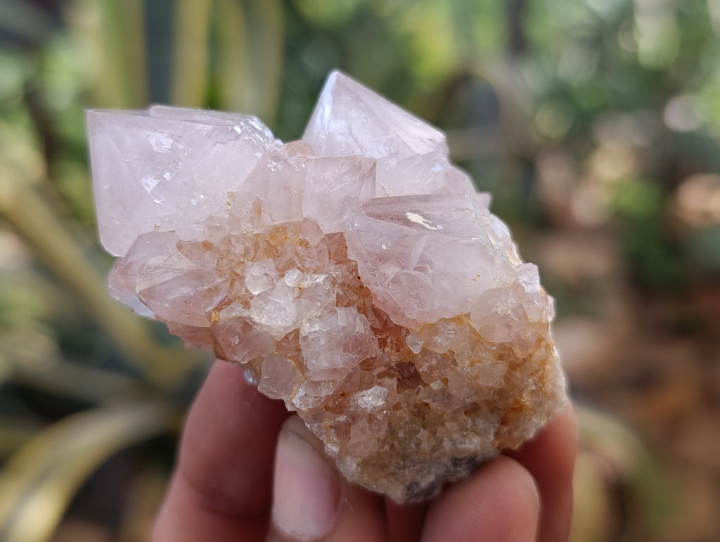 Natural Spirit Quartz Clusters x 12 From Boekenhouthoek, South Africa - Toprock Gemstones and Minerals 