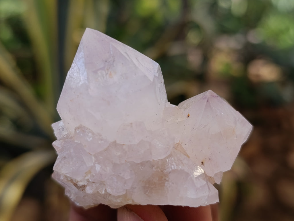 Natural Spirit Quartz Clusters x 12 From Boekenhouthoek, South Africa - Toprock Gemstones and Minerals 