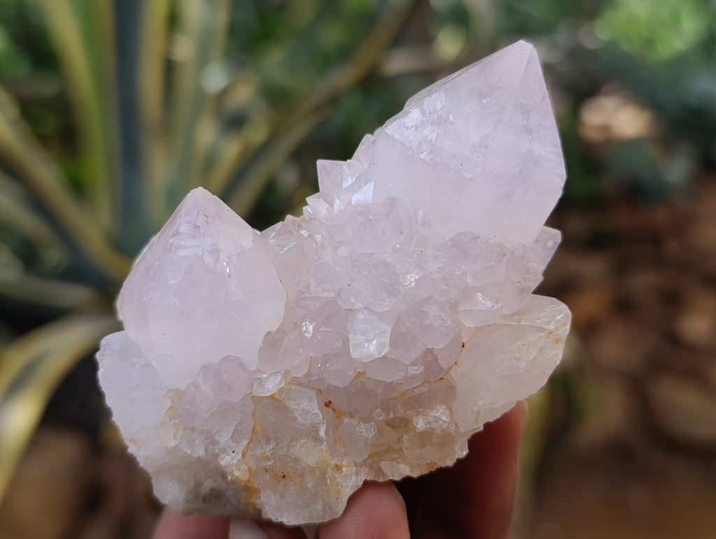 Natural Spirit Quartz Clusters x 12 From Boekenhouthoek, South Africa - Toprock Gemstones and Minerals 