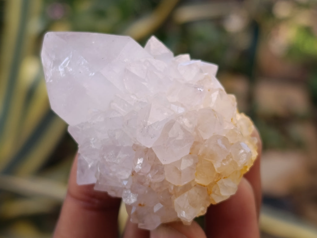 Natural Spirit Quartz Clusters x 12 From Boekenhouthoek, South Africa - Toprock Gemstones and Minerals 