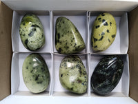 Polished Leopard Stone Free Forms x 6 From Zimbabwe