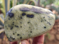 Polished Leopard Stone Free Forms x 6 From Zimbabwe