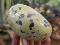 Polished Leopard Stone Free Forms x 6 From Zimbabwe
