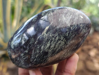 Polished Leopard Stone Free Forms x 6 From Zimbabwe