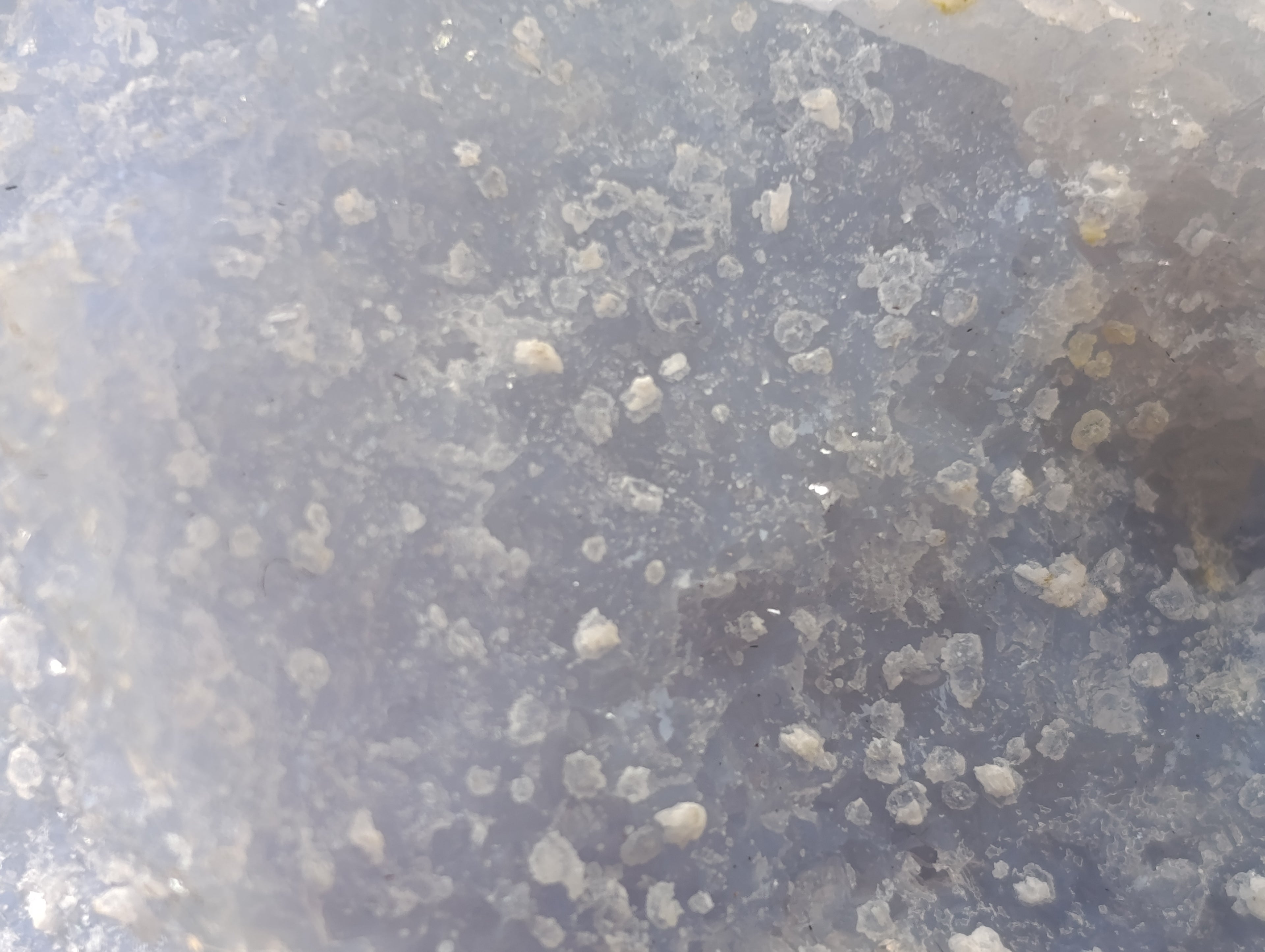 Natural Etched Blue Chalcedony Display Specimen x 1 From Nsanje, Malawi - Toprock Gemstones and Minerals 