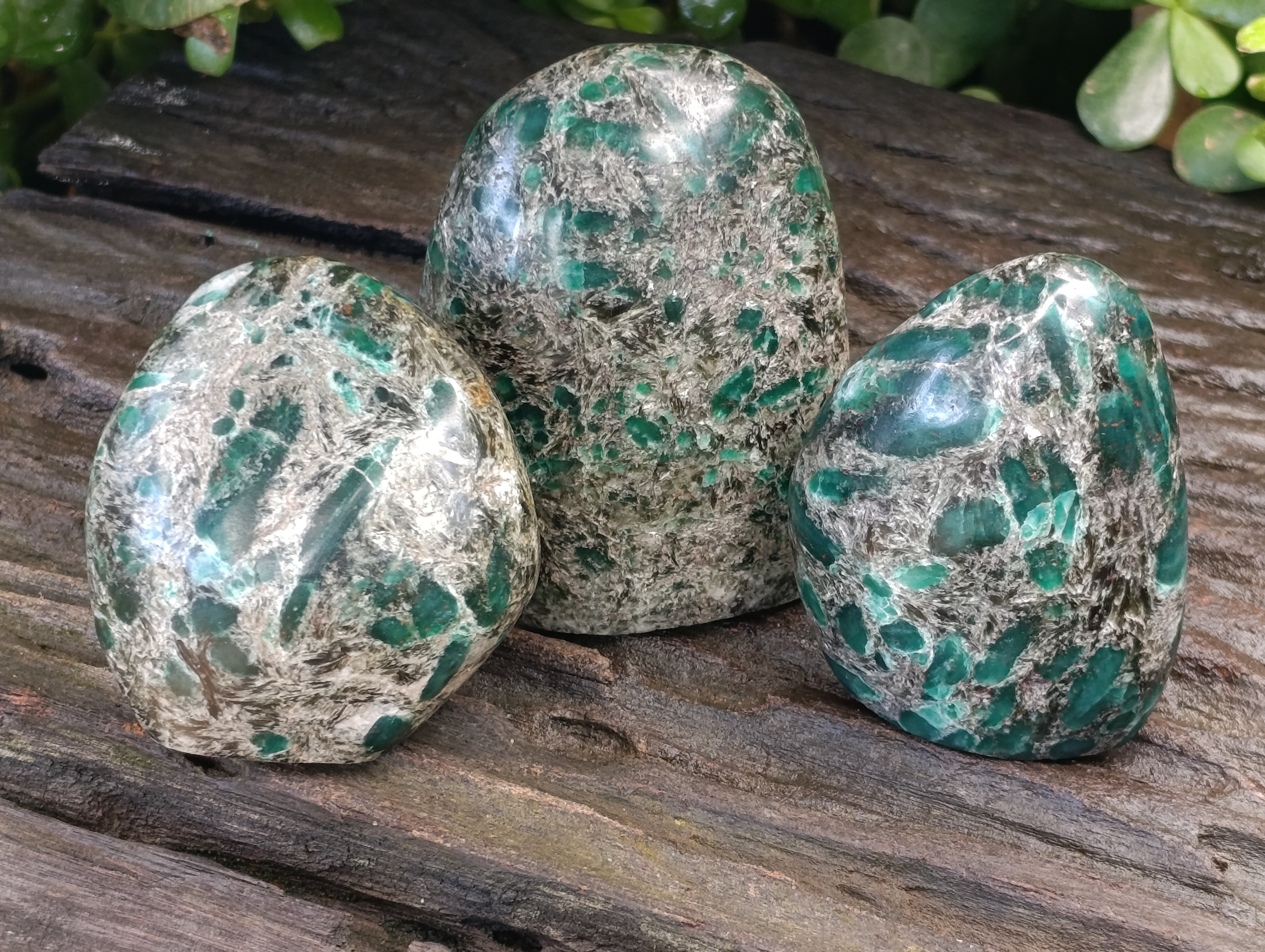 Polished Emerald Mica In Matrix Standing Free Forms x 4 From Mutoko, Zimbabwe - Toprock Gemstones and Minerals 