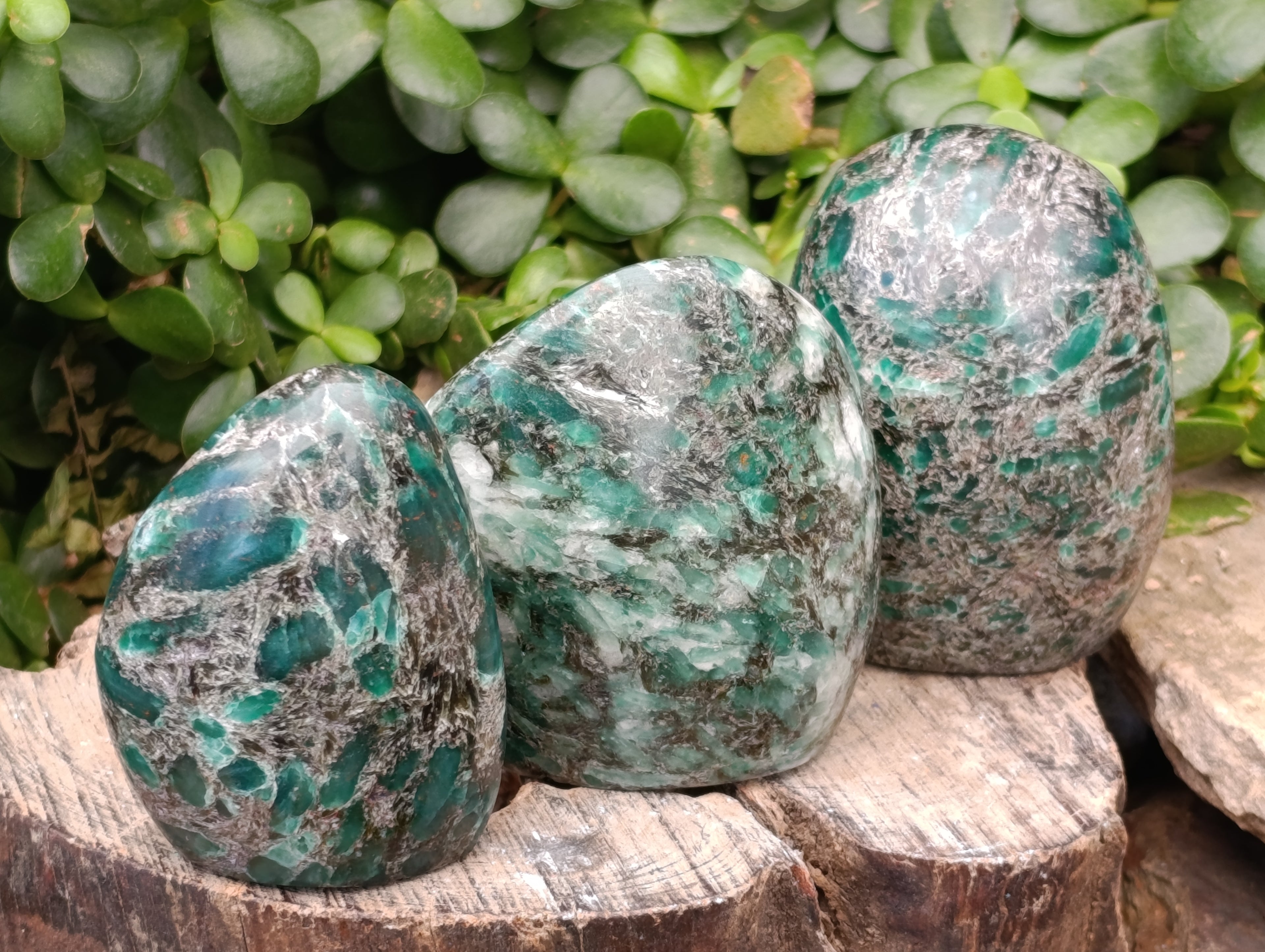 Polished Emerald Mica In Matrix Standing Free Forms x 4 From Mutoko, Zimbabwe - Toprock Gemstones and Minerals 