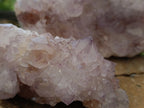 Natural Spirit Quartz Clusters x 2 From Boekenhouthoek, South Africa - Toprock Gemstones and Minerals 